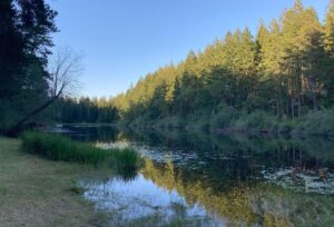 Lake Flora