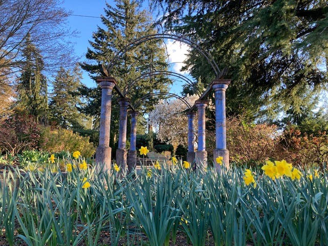 Evergreen Arboretum